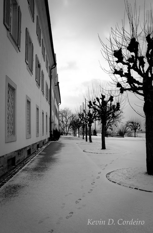 In black and white, by Kevin Dominic Cordeiro, cortenography, Haus Schönenberg, Ellewengen, Germany