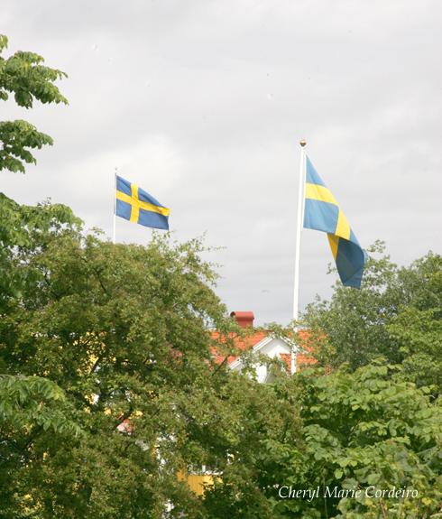Swedish Flags on Midsummer\'s 2009