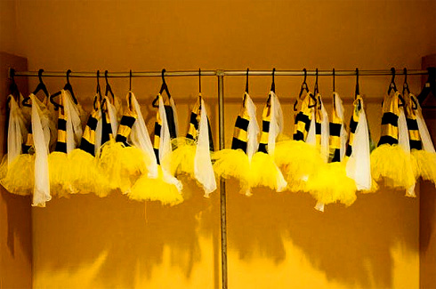 Bees