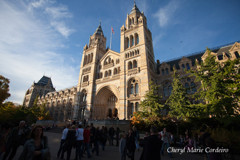 London Natural History Museum 2, Kevin Dominic Cordeiro Photography