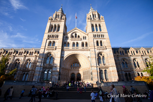 London Natural History Museum, Kevin Dominic Cordeiro Photography