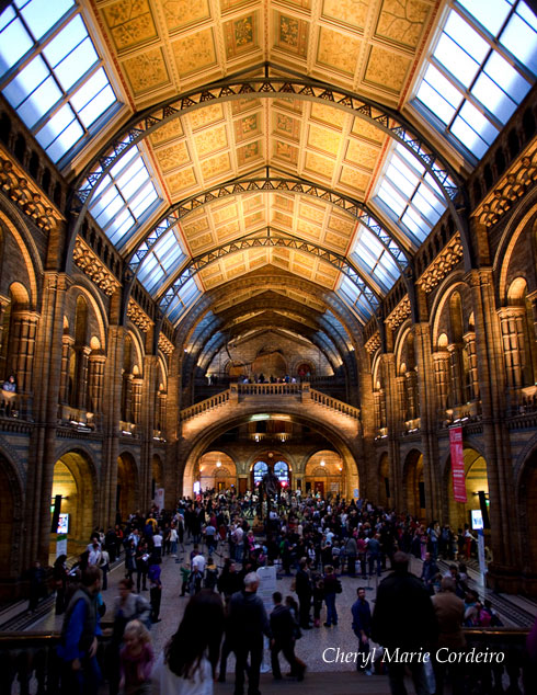 London Natural History Museum 4758, Kevin Dominic Cordeiro Photography