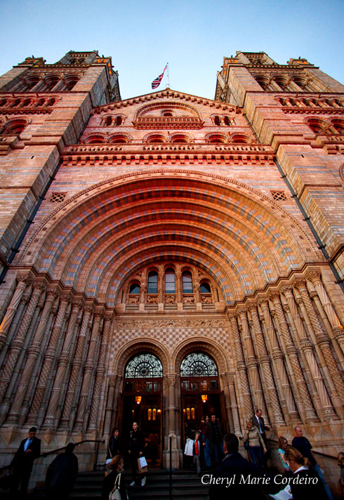 Natural History Museum 4 London, Kevin Dominic Cordeiro Photography