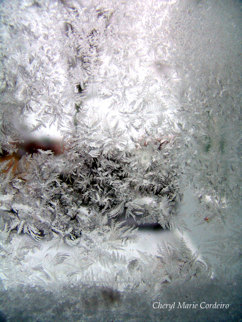 Frosted windowpanes, Sweden, January 2010, Epiphany