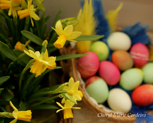 Easter Lilies and coloured Easter eggs in basket, Sweden.
