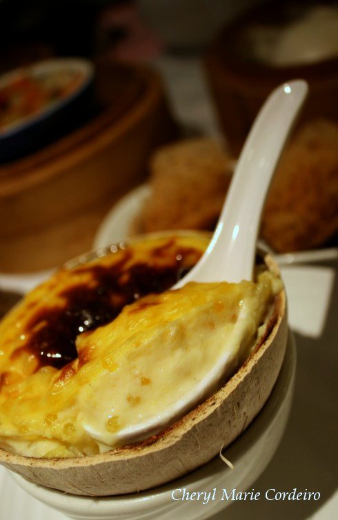 Custard pudding with sago, dim sum, Hong Kong.