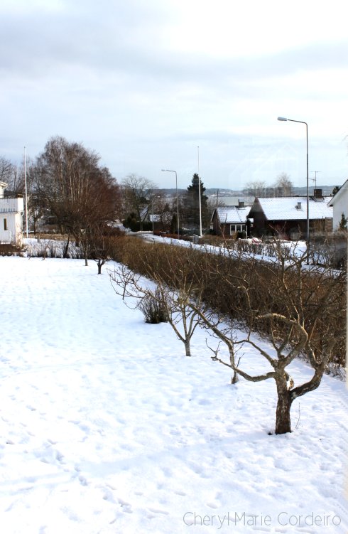 Swedish west coast winter in February 2012