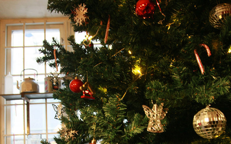 http://www.cmariec.com/blog/wp-content/uploads/2017/01/1DS_0099-800500.jpg