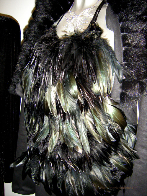 dscf0562_feather.jpg