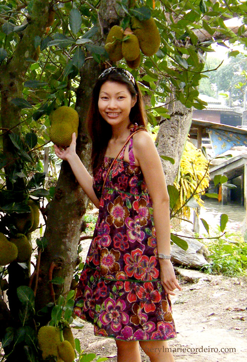 2008febfuji-027jackfruit2.jpg