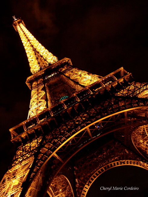 Under the Eiffel Tower, Paris, France