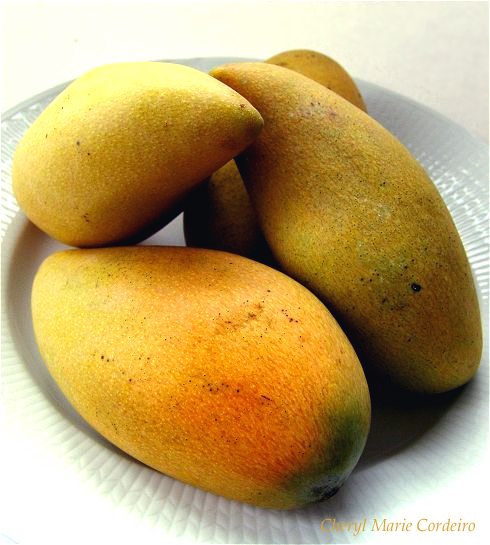 Ripened honey mangoes from Thailand, sold in Singapore