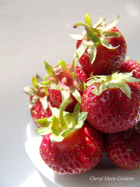 Swedish grown strawberries