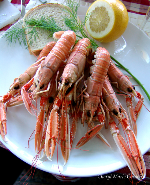Swedish crayfish on plate to Midsummer 2009