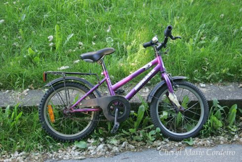 Purple bicycle