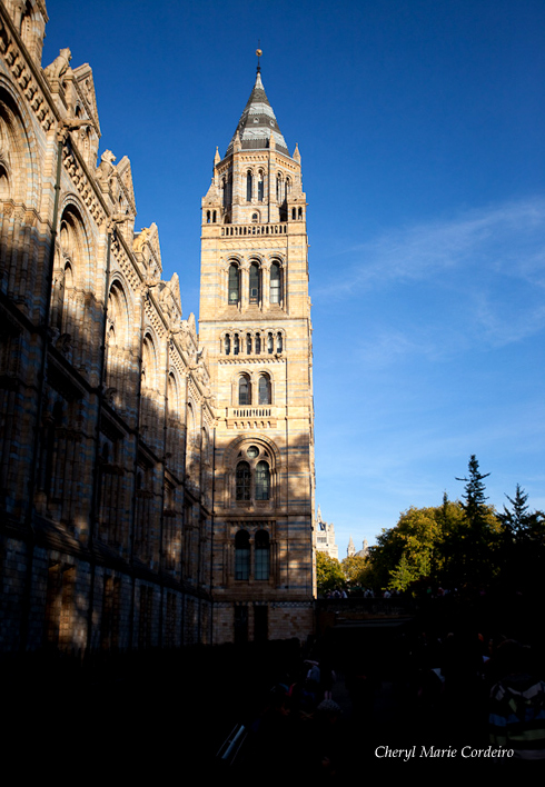 Natural History of Museum, London, 3 Kevin Dominic Cordeiro Photography