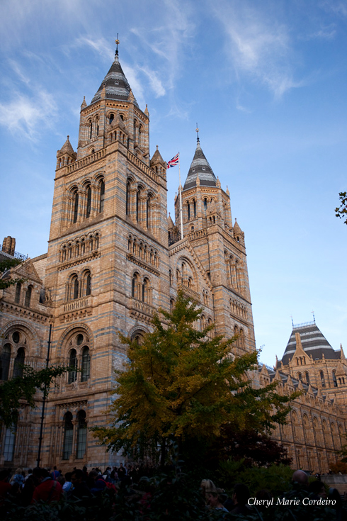 Natural History Museum 5, London, Kevin Dominic Cordeiro Photography