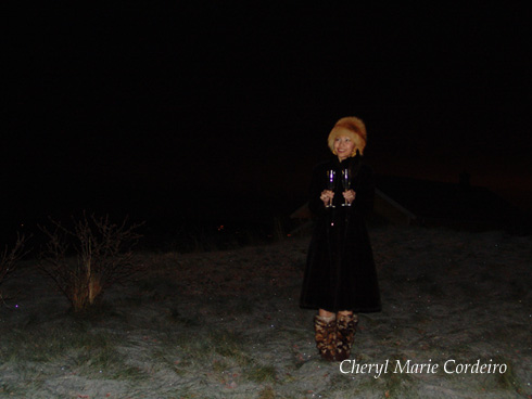 Cheryl Marie Cordeiro, Swedish westcoast New Year's 2010