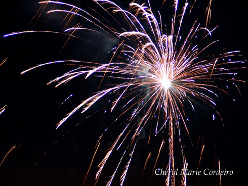 New Year's fireworks, Swedish westcoast 2010