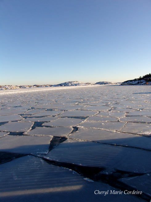 Swedish westcoast 3, January 2010