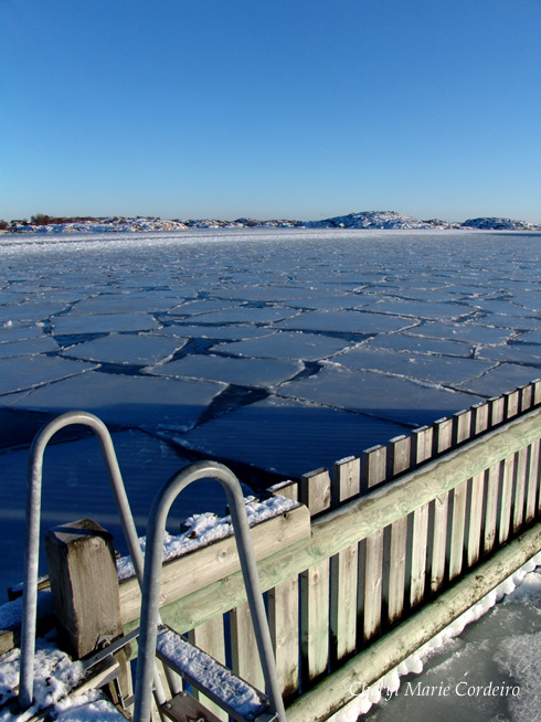 Swedish westcoast, iced seas 2, January 2010