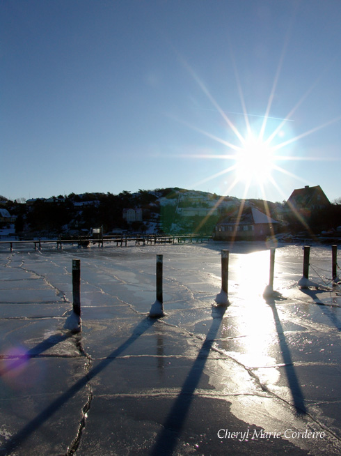 Swedish westcoast, low sun, January 2010