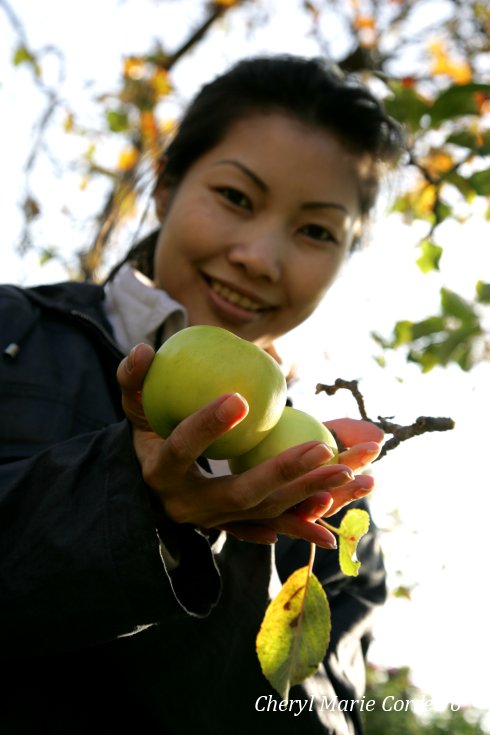 Cheryl Marie Cordeiro with Signe Tillisch apples, Sweden.