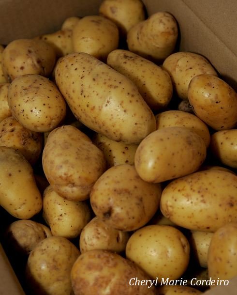 Image2 Inova potatoes.