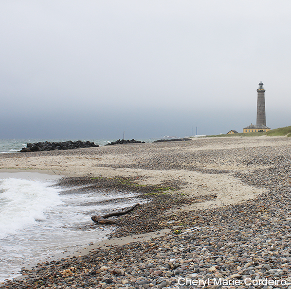 Skagen - Kiel July 2011 033 598