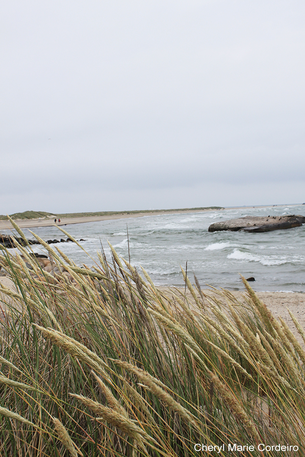 Skagen - Kiel July 2011 063 598