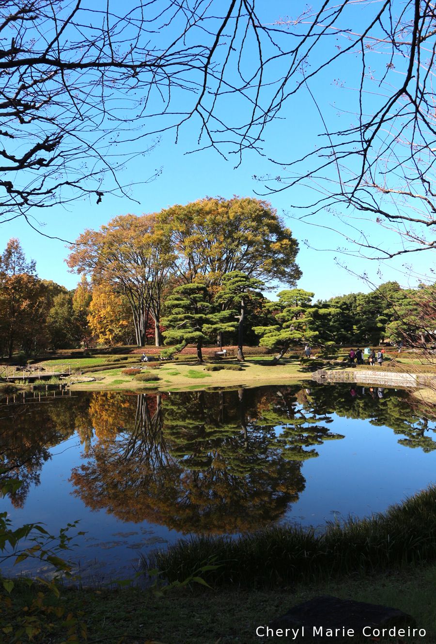 The East Gardens of the Imperial Palace